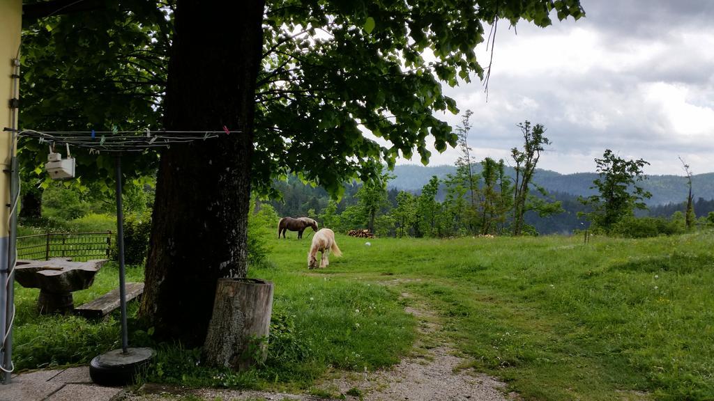 Hotel Gostilna Stara Posta Podkraj Zewnętrze zdjęcie